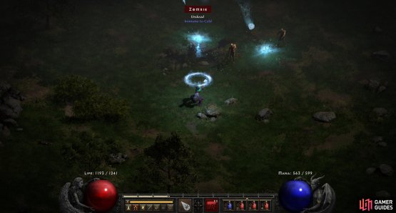 While undeniably potent, the Blizzard Sorceress&rsquo;s focus on cold spells renders her helpless when she encounters cold immune enemies.