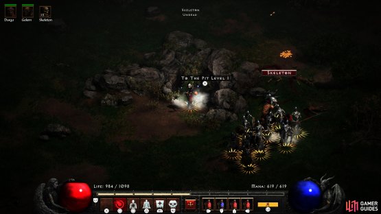 The Pit is a dungeon in the Tamoe Highland.
