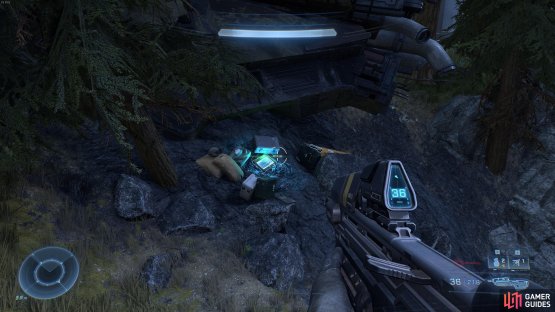 You&rsquo;ll find the log just beneath the ruins of a small ship.