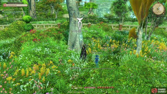 Examine the Trees for Flowers