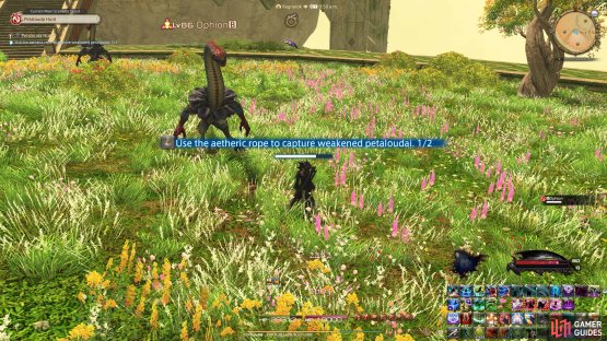 Capture the Petaloudai