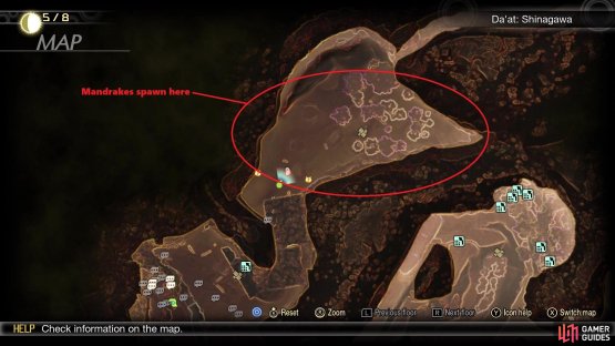 You will find the required Mandrakes in the Gotenyama area