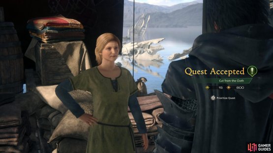 Accept the quest from Hortense on the Boarding Dock. You must have finished the Ice and Fire main story quest first for it to appear.