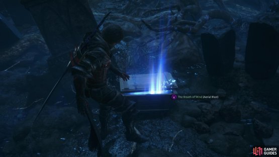 then loot a chest to score The Breath of the Wind (Aerial Blast) accessory.