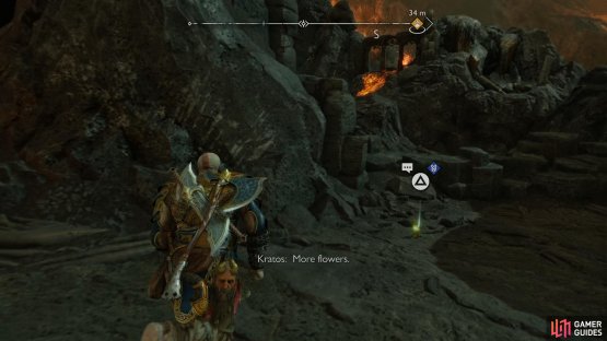 You will find the Ashpetal flower next to the blacksmith shop after jumping down from the Mystic Gateway.