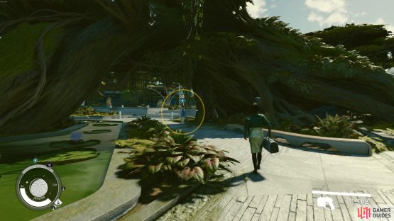 Find Kelton Frush under the giant tree near MAST District station