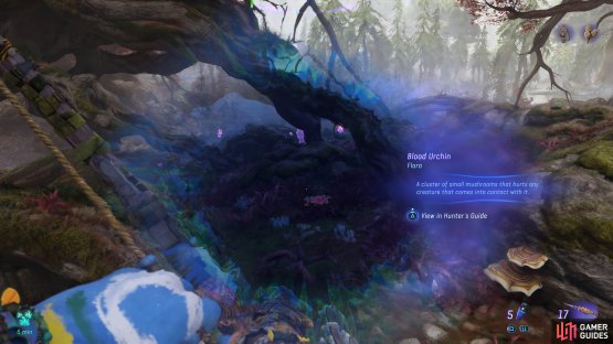 You&rsquo;ll want to look for the Blood Urchin on the ground by the Braided Crimson Trees.