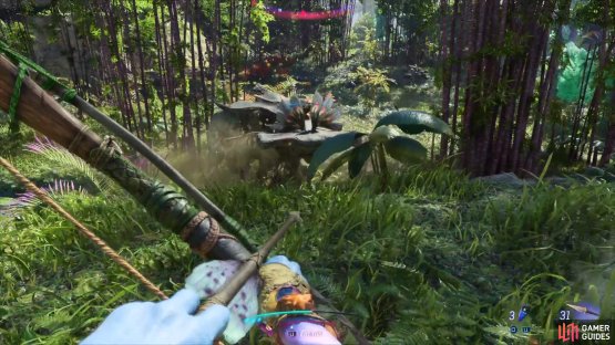 Hammerheads can come after you, so be careful.
