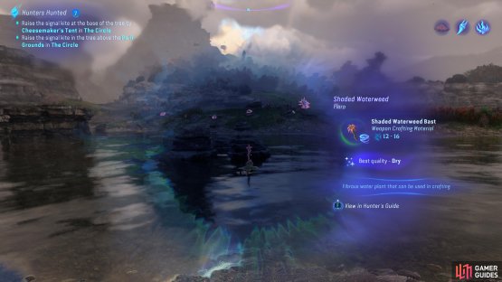 You can see the green tint around the icon for this Shaded Waterweed, indicating that it’s of Fine rarity.