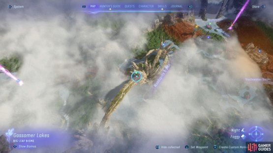 One location can be found on top of the Woodsprite Arches.