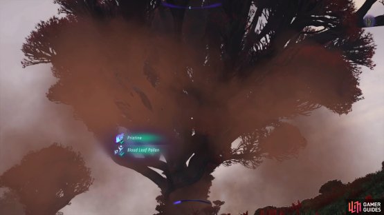 You can actually see the pollen coming off the trees.