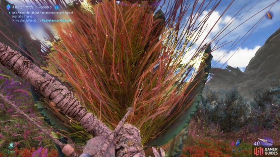 You&rsquo;ll need two of the plants in order to actually harvest anything.