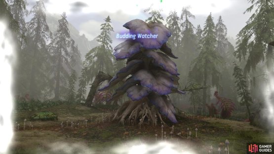 to find the first Cradling Pines Budding Watcher
