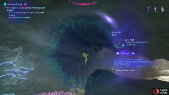 and enter the cave to find Cave Roots inside.