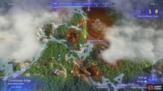 You can find Night Leaf Trees in Rainforest Biomes.
