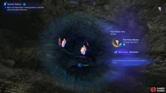 you can find Pale Plains Nectar in the cave that houses the Reconnaissance Ancestor Skill.
