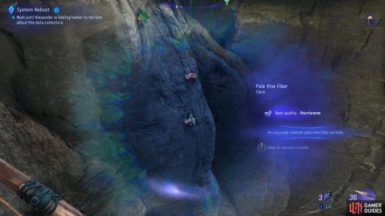 go into the cave behind the Totem and look up to find Pale Vine Fiber.