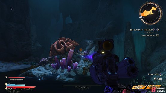 to find the Lucky Dice sitting inside some coral. 