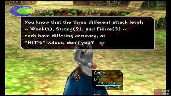 The higher the level, the more damage, but the lower the initial hit rate.