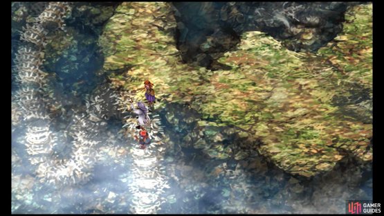 Climb down this bone ladder on the same screen you met Skelly.