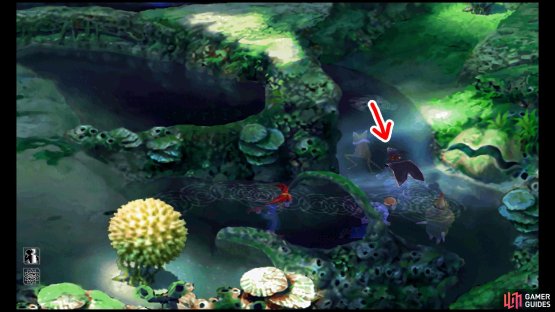 Enter the secret waterfall cave here.