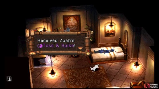 Inside is Zoah&rsquo;s Level 7 Tech, Toss & Spike.
