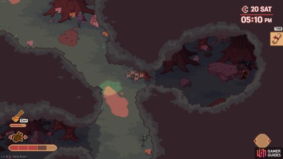Find the Mandrakes in the Green Forest Depths