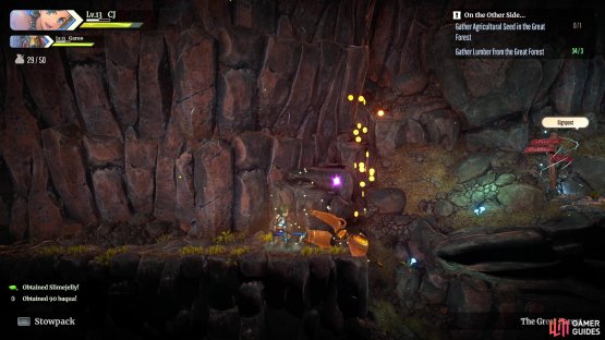 Destroy the breakables in the Great Forest to hopefully get an item