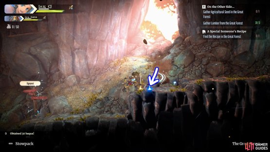 With a Pickaxe Level 2+, you may get rare drops from mining spots.