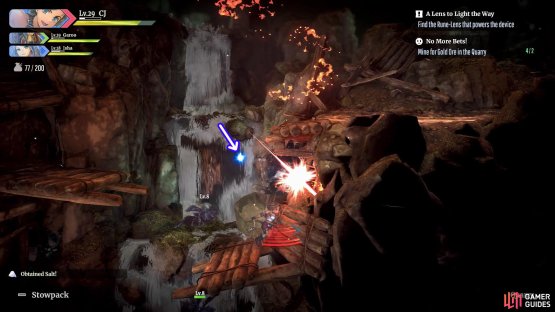 With a Level 2+ Pickaxe, you can get rare drops from mining spots.