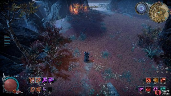 Mairwyn will roam the Emberleaf Grove.