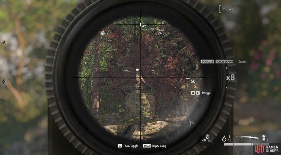 It hides a little in the foliage, but is still and easy shot.
