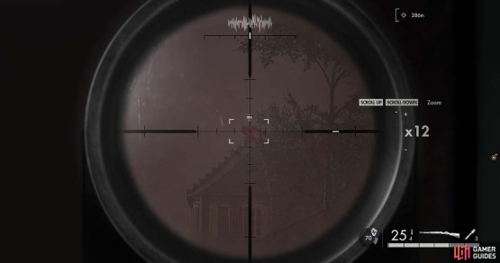 Even though it is a little murky, you should still be able to get a decent shot off.