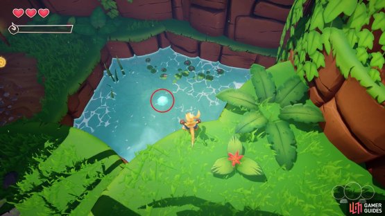 look in the little pond to find the first Crystal