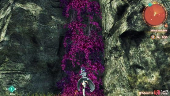 You&rsquo;ll need to finish Valdi&rsquo;s Hero Quest to learn how to climb