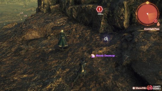 Look for the gears-like icon when picking up the Collectables