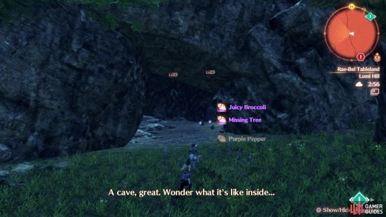 Look for the remarks by your party to know where to find the cave