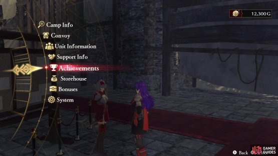 You can look at the Achievements through the menu