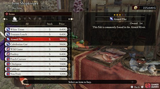 You can buy ingredients from the Item Shopkeeper,