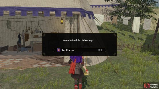 when it shows up, be sure to search it to obtain an Owl Feather.
