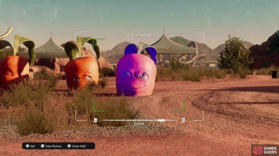 Take a picture of the &ldquo;Carrot Head&rdquo; collectible to obtain it.
