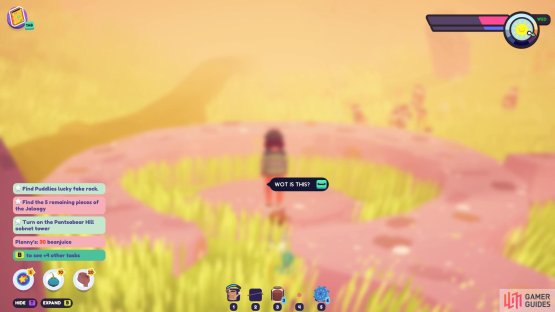to find the fake rock at the end.
