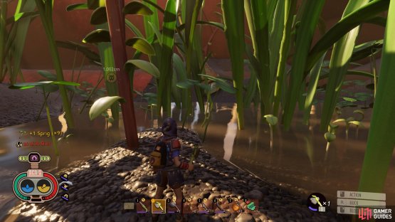 You&rsquo;ll find plenty of Sprig, Plant Fiber, and Clover Leaf in the oasis in the southeast of the Sandbox.