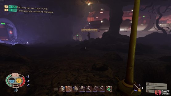 then follow the tunnel all the way to the lab!