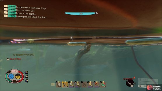 then head underneath them to grab the lilypad wax.