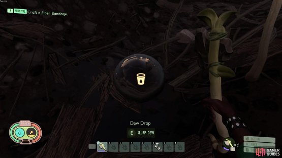 then knock them down to slurp it up!