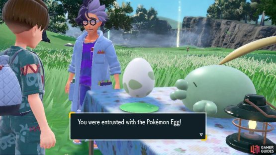 Jacq invites trainers to a Picnic and then gifts them a Pok&eacute;mon Egg.