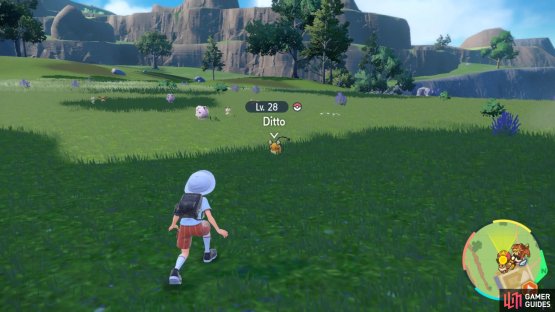 so you&rsquo;ll need to observe name tags or battle lots of Pokemon to find them.