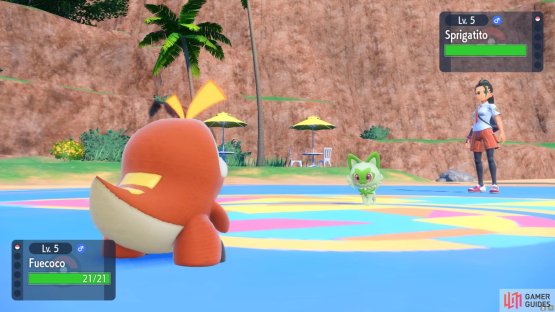 Her Pok&eacute;mon will be weak to yours.