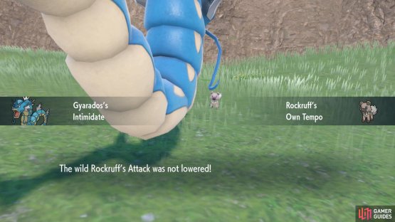 Search for a wild Rockruff with the Own Tempo ability.